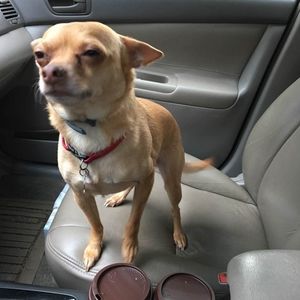 Meet your Posher, Ellie